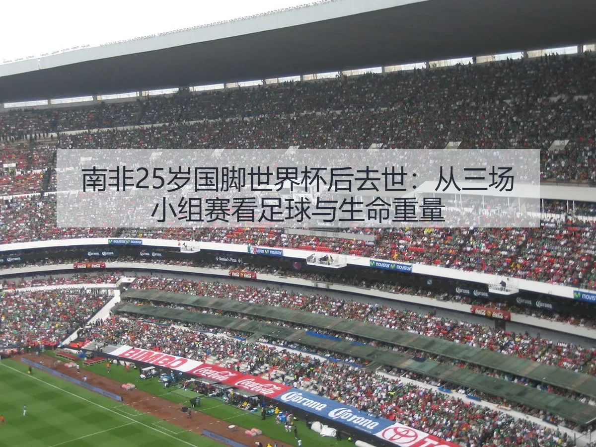 南非25岁国脚世界杯后去世：从三场小组赛看足球与生命重量